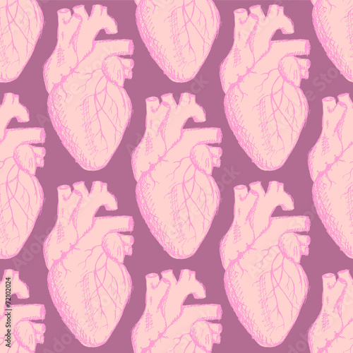 Sketch human heart in vintage style