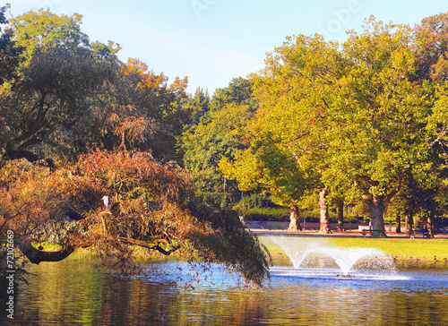 Fototapeta Naklejka Na Ścianę i Meble -  Fountains in park