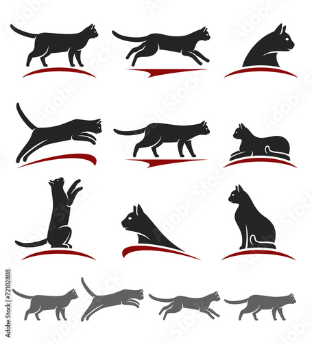 Cat set. Vector