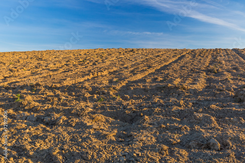 Plowed field landscape