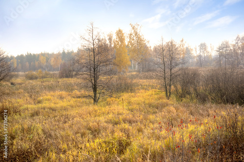 Bog. Autumn © Pavel Parmenov