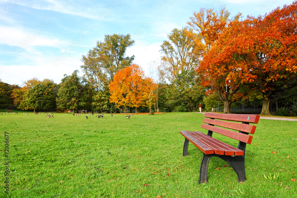 In autumn park