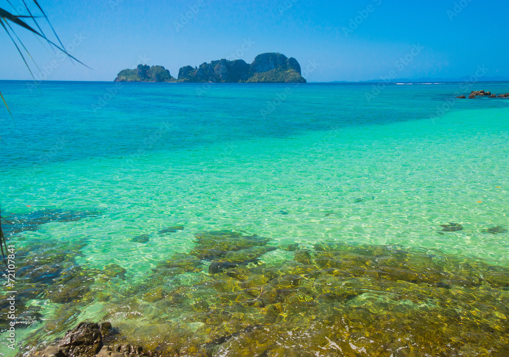 Fototapeta premium Marine Fantasy Green Pinnacle