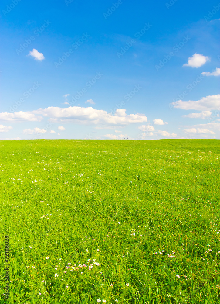 Summer Scene Landscape Summer Scene Landscape
