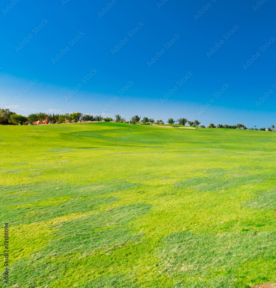 Fototapeta premium Lonesome Acres Of Green