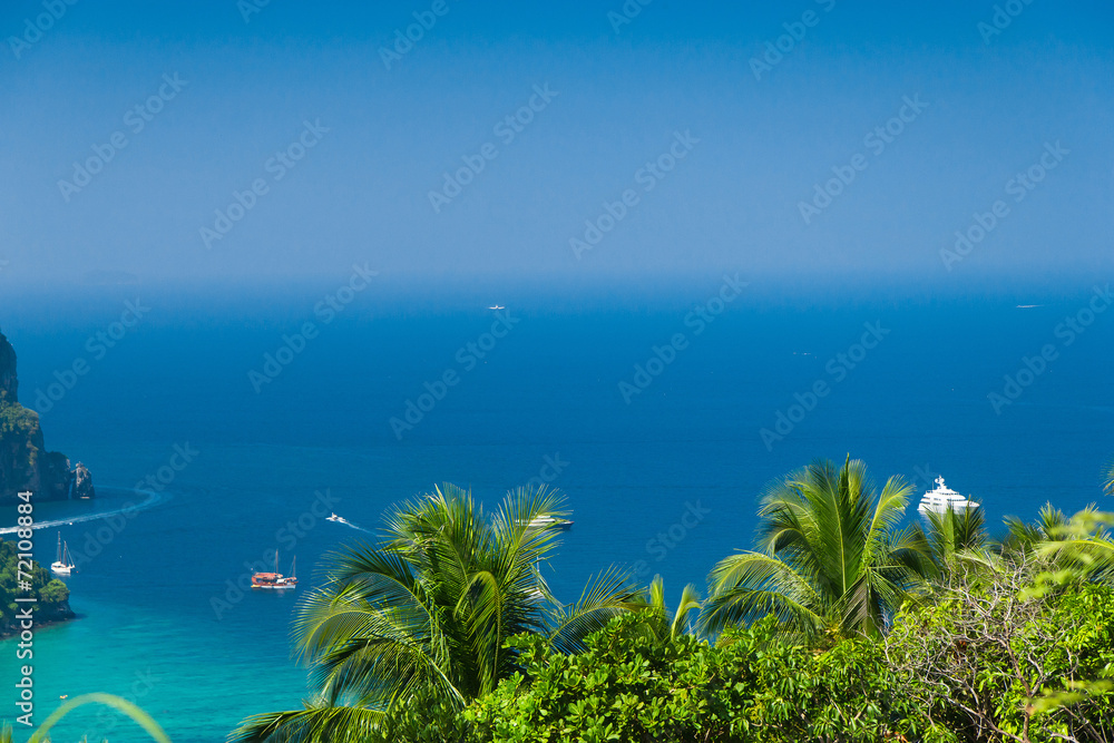 High Viewpoint Palm Island