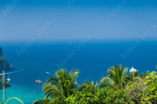 High Viewpoint Palm Island