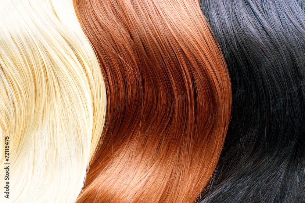 Hair colors palette. Blonde, brown and black hair colours Photos | Adobe  Stock