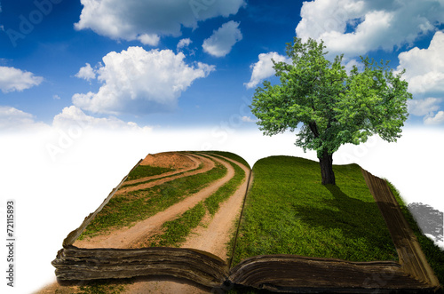 Open book in green grass over blue sky