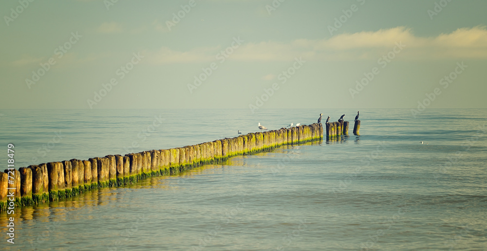 Baltic Sea.