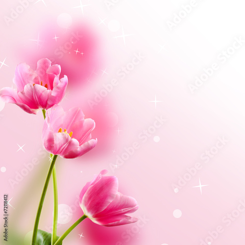 Fototapeta Naklejka Na Ścianę i Meble -  Beautiful tulips on light background