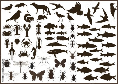 Animals set