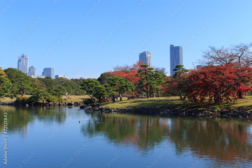 Autumn leaves in Hamarikyu Gardens, Tokyo Autumn leaves in Hamarikyu Gardens, Tokyo