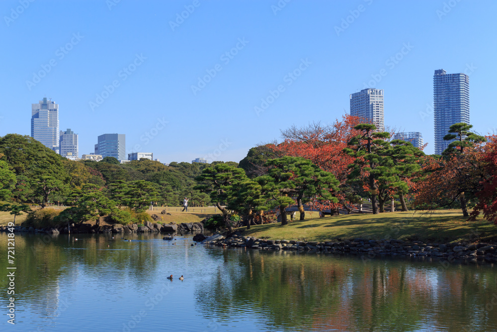 Autumn leaves in Hamarikyu Gardens, Tokyo Autumn leaves in Hamarikyu Gardens, Tokyo