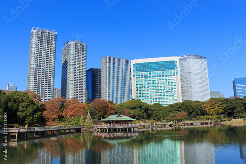 Autumn leaves in Hamarikyu Gardens  Tokyo