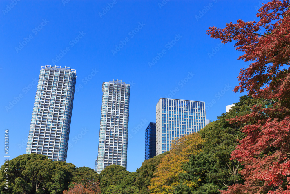Autumn leaves in Hamarikyu Gardens, Tokyo Autumn leaves in Hamarikyu Gardens, Tokyo