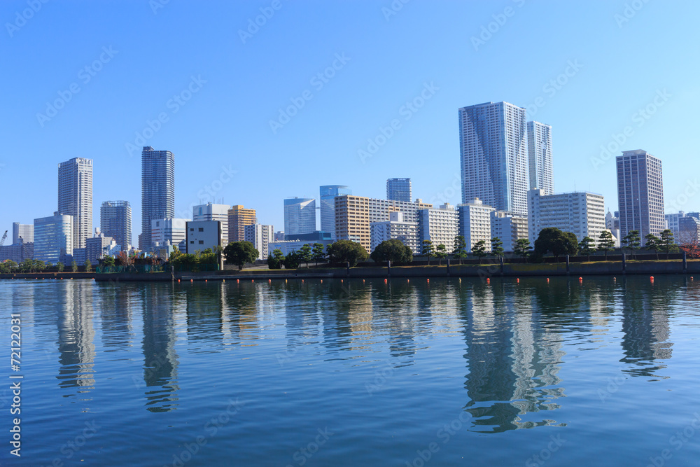 Autumn leaves in Hamarikyu Gardens, Tokyo