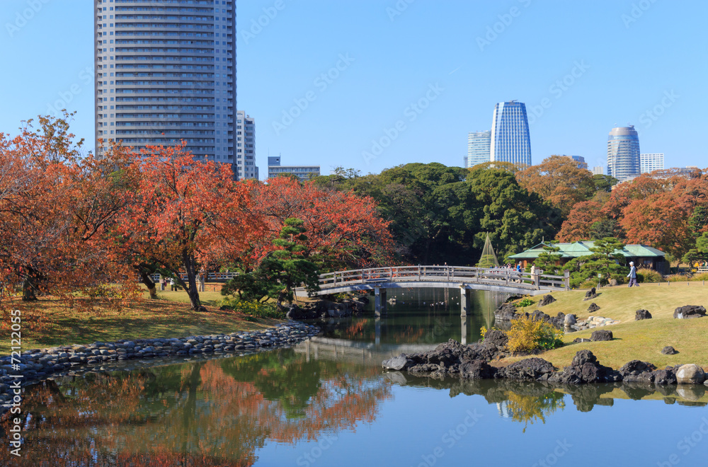 Autumn leaves in Hamarikyu Gardens, Tokyo Autumn leaves in Hamarikyu Gardens, Tokyo
