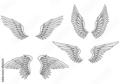 Wings set © Cartoon images