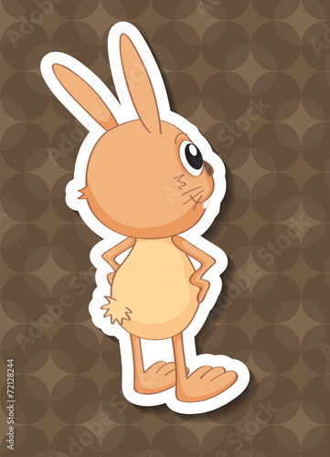 Rabbit