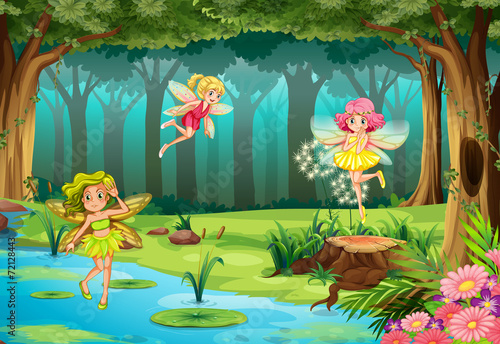 Fairies