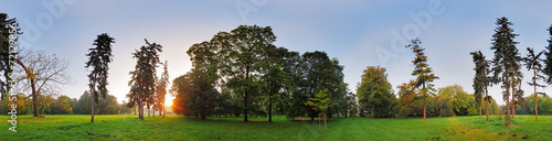 360 degree panorama, forest in park #72129856