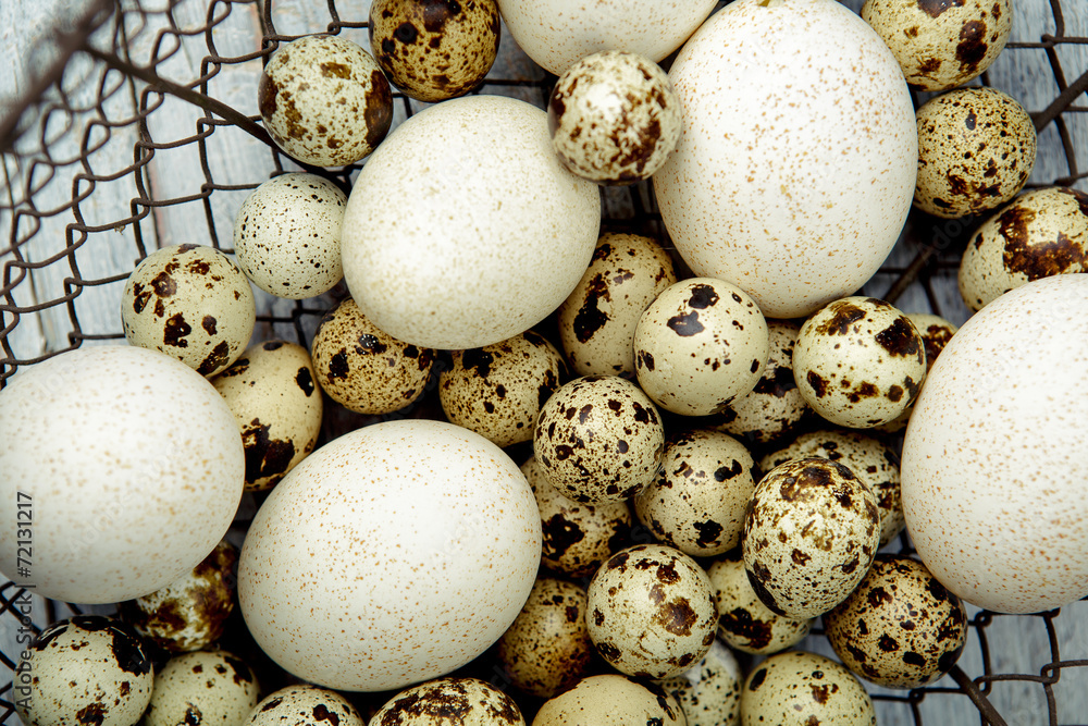 Obraz premium Duck and Quail Eggs