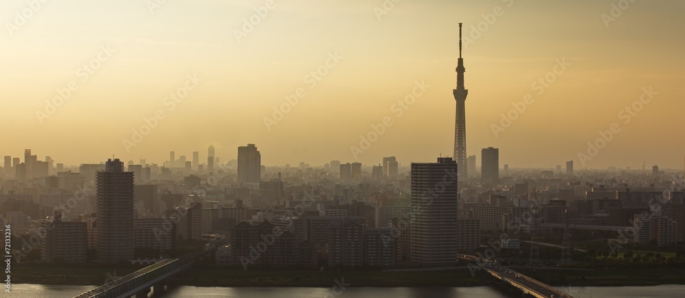 Fototapeta premium Tokyo sky tree and Tokyo city view