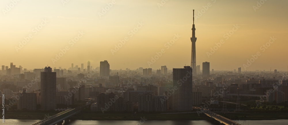 Tokyo sky tree and Tokyo city view