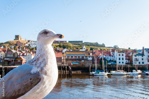 Tableau sur toile Scenic view of Whitby city and abbey in North Yorkshire, UK