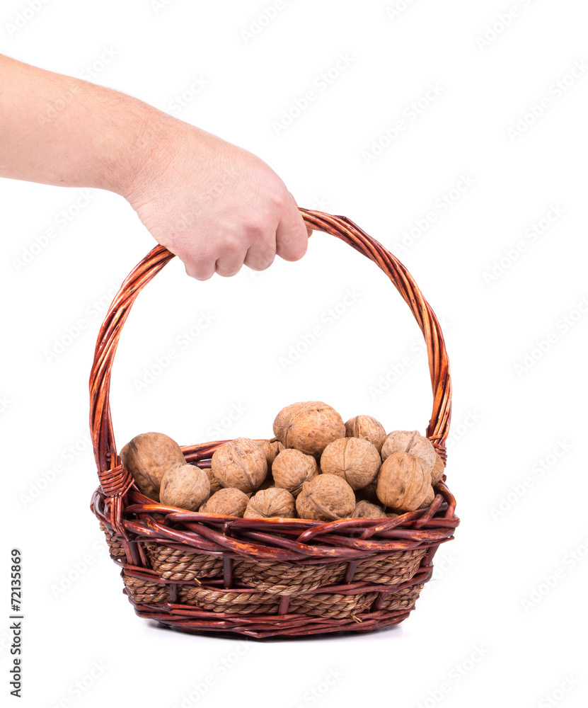 Hand holding basket of walnuts. Hand holding basket of walnuts.