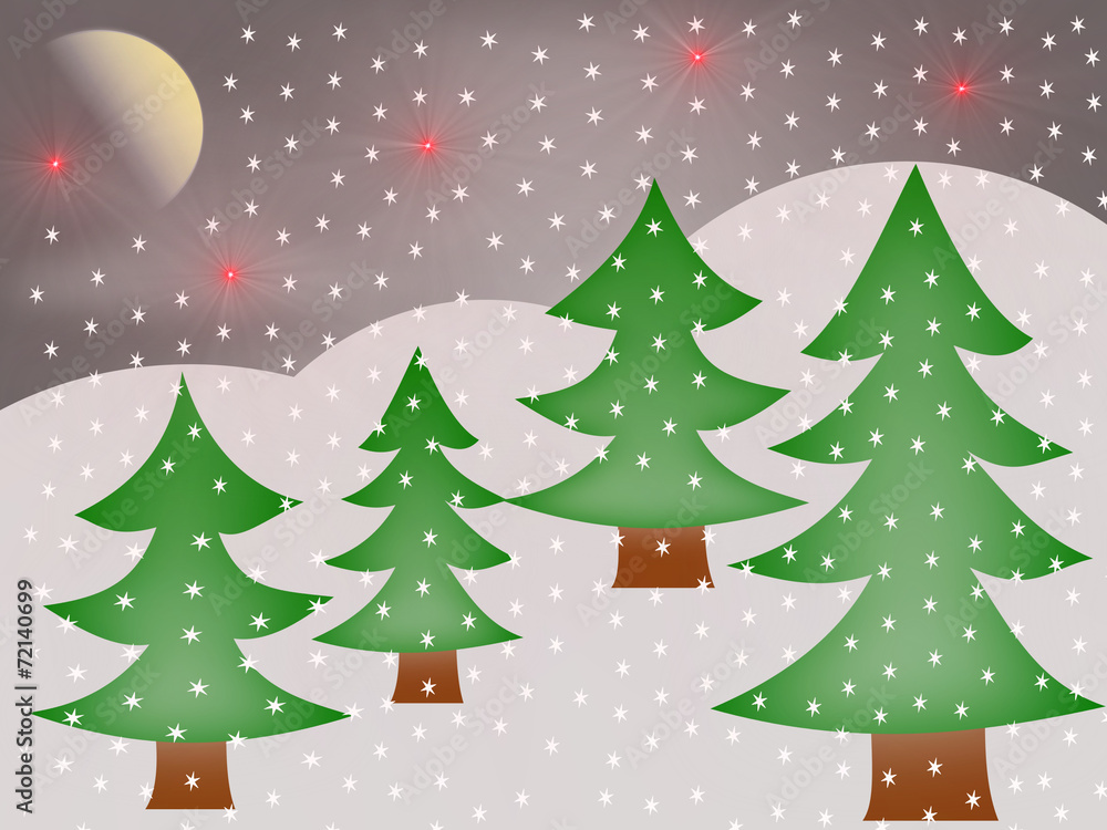 Silent night in winter Silent night in winter