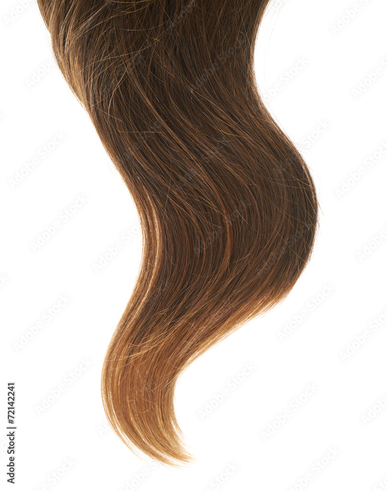 Hair fragment over the white