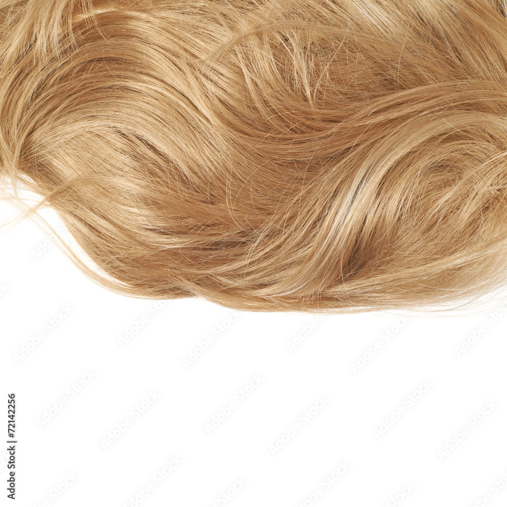 Hair fragment over the white Hair fragment over the white
