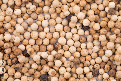 Background of the white pepper.