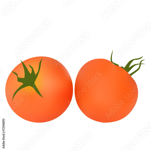 Tomato vector