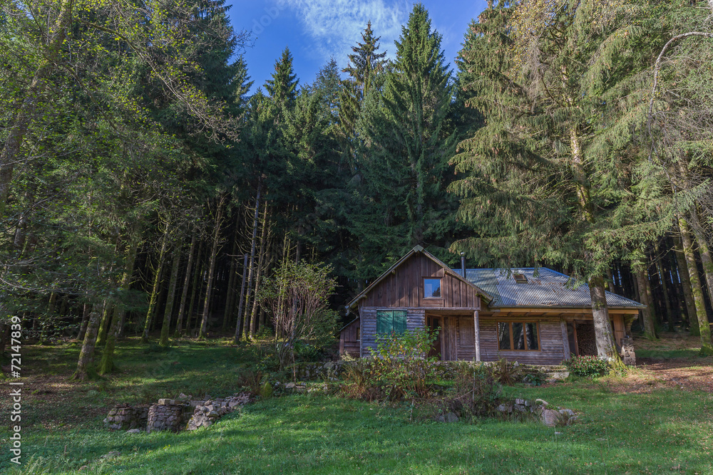 chalet dans la forêt chalet dans la forêt