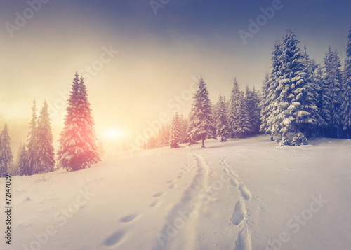 Foggy winter morning in the mountains