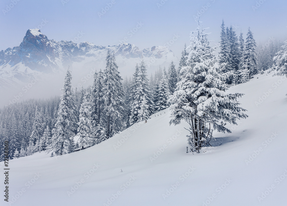 Foggy winter landscape in the mountains. Foggy winter landscape in the mountains.