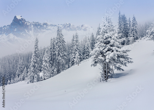 Foggy winter landscape in the mountains.