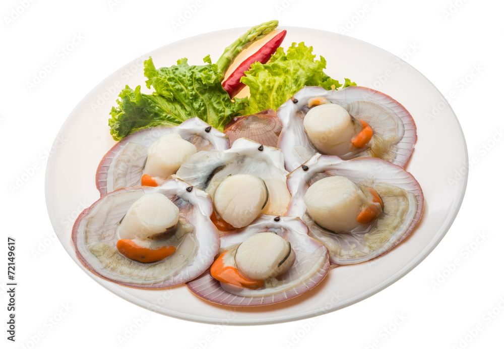 Raw fresh scallop Raw fresh scallop