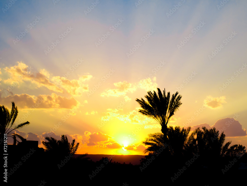 Palmtrees And Sunset Sky Background