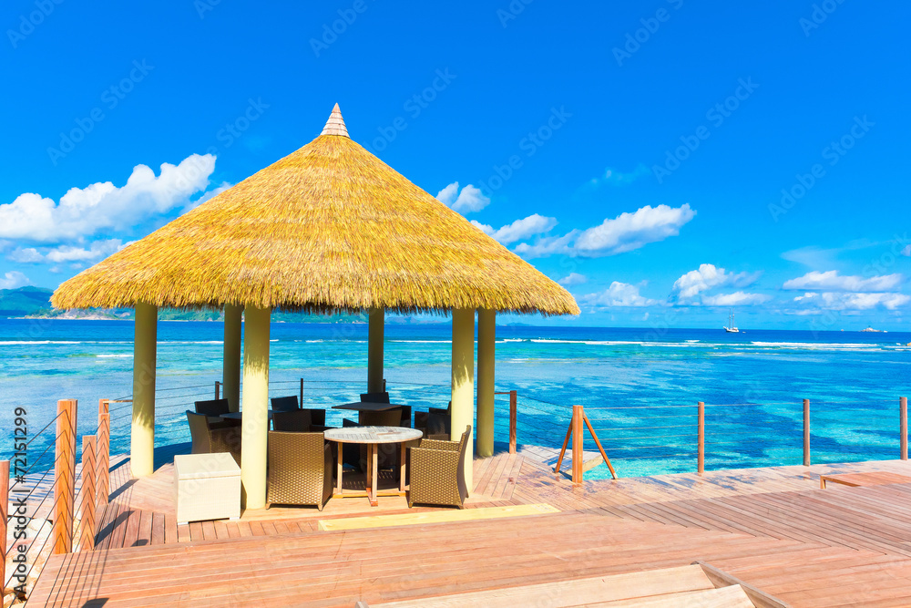 Fototapeta premium Palms Sea Pool