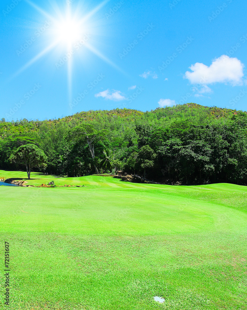 Fototapeta premium Fields Grass