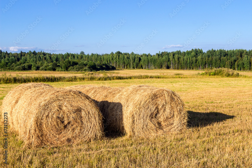 Straw bales on farmland with blue cloudy sky