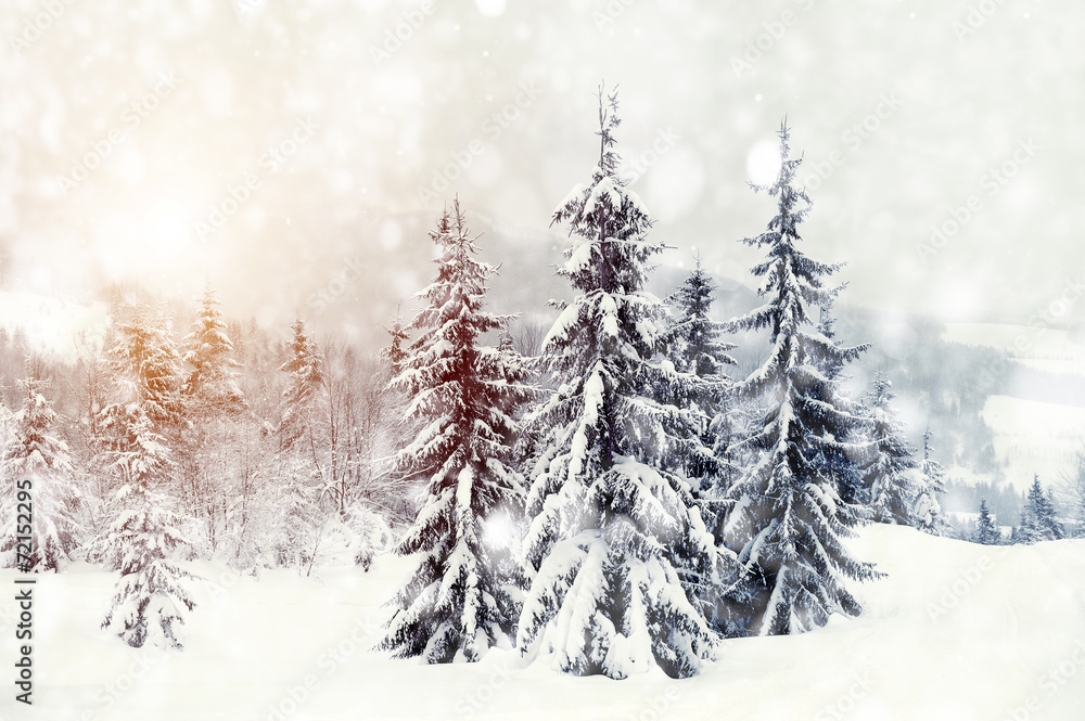 Fototapeta premium Winter landscape