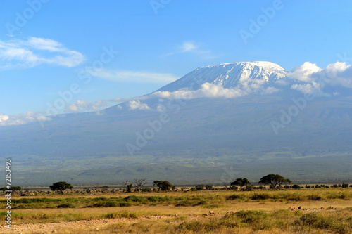 Kilimanjaro mountain © byrdyak