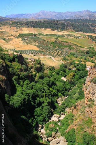 Campagne andalouse, Ronda photo