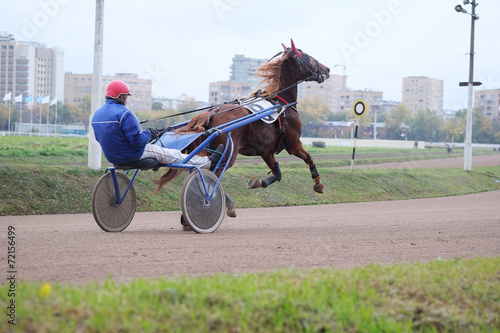 Quadro su tela carriage, horse and rider on a horse race at the track