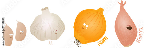 ail, oignon et échalote